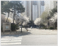  2025Ÿ��62790 ��� ����� �ϻ굿�� �߻굿 1800 �ϴø��� 505�� 5��501ȣ   ����Ʈ���