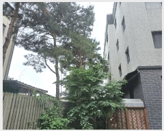  2025Ÿ��63097 ��� ���ֽ� �ߴ絿 243-48 ���� 102�� 4��402ȣ    �ټ���,������