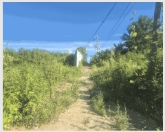  2025Ÿ��63926 ��� ���ֽ� ��ź�� �Ż긮 192-17      ����(����)���