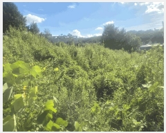  2025Ÿ��63926 ��� ���ֽ� ��ź�� �Ż긮 192-17      ����(����)���