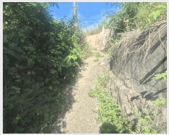  2025Ÿ��63926 ��� ���ֽ� ��ź�� �Ż긮 192-17      ����(����)���