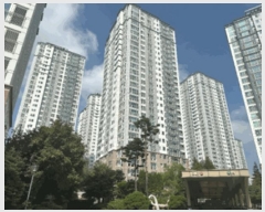  2025Ÿ��64264 ��� ���ֽ� �񵿵� 679 �ؼָ���5������θ��׻󽺾���Ʈ 505�� 16��1602ȣ    ����Ʈ���