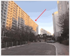  2025Ÿ��65166 ��� ���ֽ� ���е� 1687 ���ӱ渶��6���������¸���� 606�� 15��1504ȣ    ����Ʈ���