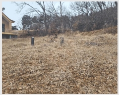  2025Ÿ828   ϻ굿  75      (Ӿ)