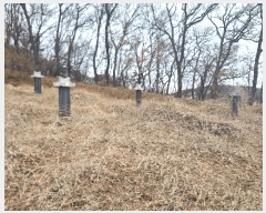  2025Ÿ828   ϻ굿  75      (Ӿ)