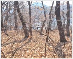  2025Ÿ828   ϻ굿  75      (Ӿ)