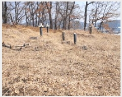  2025Ÿ828   ϻ굿  75      (Ӿ)