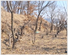  2025Ÿ828   ϻ굿  75      (Ӿ)