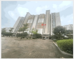  2025Ÿ3759   ϻ굿 ǳ 1267 Ӹ 501 8802ȣ   Ʈ