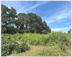  2025Ÿ��4707  �����