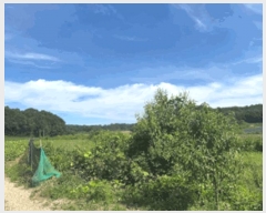  2025Ÿ��4707  �����