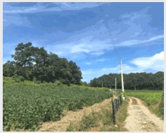  2025Ÿ��4707  �����