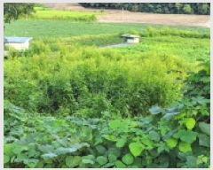  2025Ÿ��4707  �����