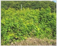  2025Ÿ��4707  �����