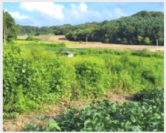  2025Ÿ��4707  �����