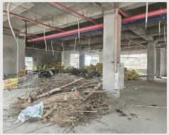  2025Ÿ��5489  �ٸ��ü����