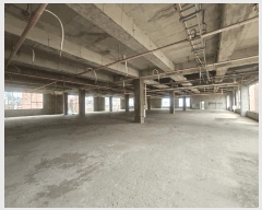  2025Ÿ��5489  �ٸ��ü����