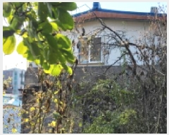  2025Ÿ��6147  �������