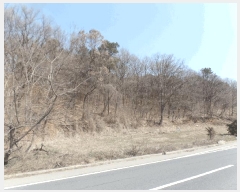  2025Ÿ62641  ֽ  絿 488      (1)