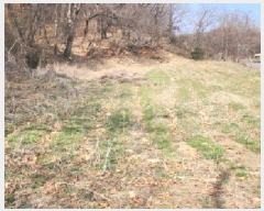  2025Ÿ62641  ֽ  絿 488      (1)