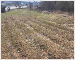  2025Ÿ62641  ֽ  絿 488      (1)