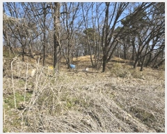  2025Ÿ��62757 ��� ����� �ϻ굿�� ������ ��21      ����(�Ӿ�)���