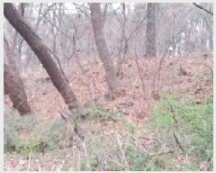  2025Ÿ��62757 ��� ����� �ϻ굿�� ������ ��21      ����(�Ӿ�)���