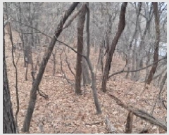  2025Ÿ��62757 ��� ����� �ϻ굿�� ������ ��21      ����(�Ӿ�)���