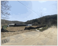  2025Ÿ��62769  �Ӿ߰��