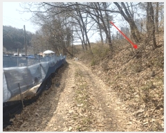  2025Ÿ��62769  �Ӿ߰��