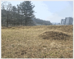  2025Ÿ��62769  �Ӿ߰��