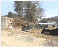  2025Ÿ��62769  �Ӿ߰��