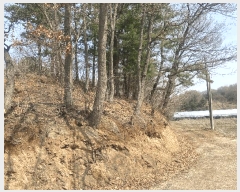  2025Ÿ��62769  �Ӿ߰��