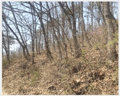  2025Ÿ��62769  �Ӿ߰��