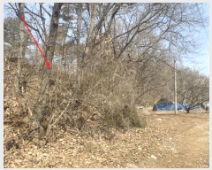  2025Ÿ��62769  �Ӿ߰��