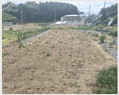  2025Ÿ��63164 ��� ���ֽ� ������ ���帮 172-13      ����(��1)���