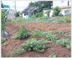  2025Ÿ��63164 ��� ���ֽ� ������ ���帮 172-13      ����(��1)���