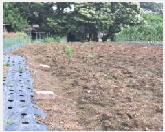  2025Ÿ��63164 ��� ���ֽ� ������ ���帮 172-13      ����(��1)���