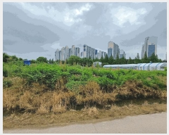  2025Ÿ63174   ϻ꼭 ȭ 390-1      (1)