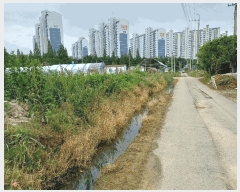  2025Ÿ63174   ϻ꼭 ȭ 390-1      (1)