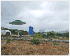  2025Ÿ63174   ϻ꼭 ȭ 390-1      (1)