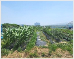  2025Ÿ63174   ϻ꼭 ȭ 390-1      (1)