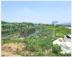  2025Ÿ63174   ϻ꼭 ȭ 390-1      (1)