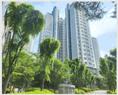  2025Ÿ63185   籸  1103 ũ 611 1103ȣ   Ʈ