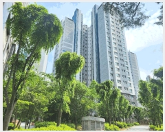  2025Ÿ63185   籸  1103 ũ 611 1103ȣ   Ʈ