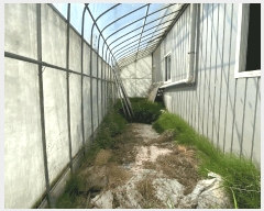  2025Ÿ63271   ϻ꼭 굿 1739      ,â