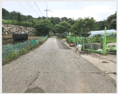  2025Ÿ63296   籸 ﵿ 705  Ÿ Ļ  7701ȣ Ʈ