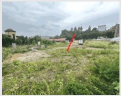  2025Ÿ63336  ֽ  ߸ 29-3      ()