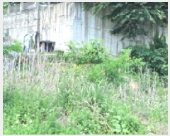  2025Ÿ63336  ֽ  ߸ 29-3      ()