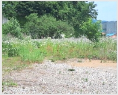  2025Ÿ63336  ֽ  ߸ 29-3      ()